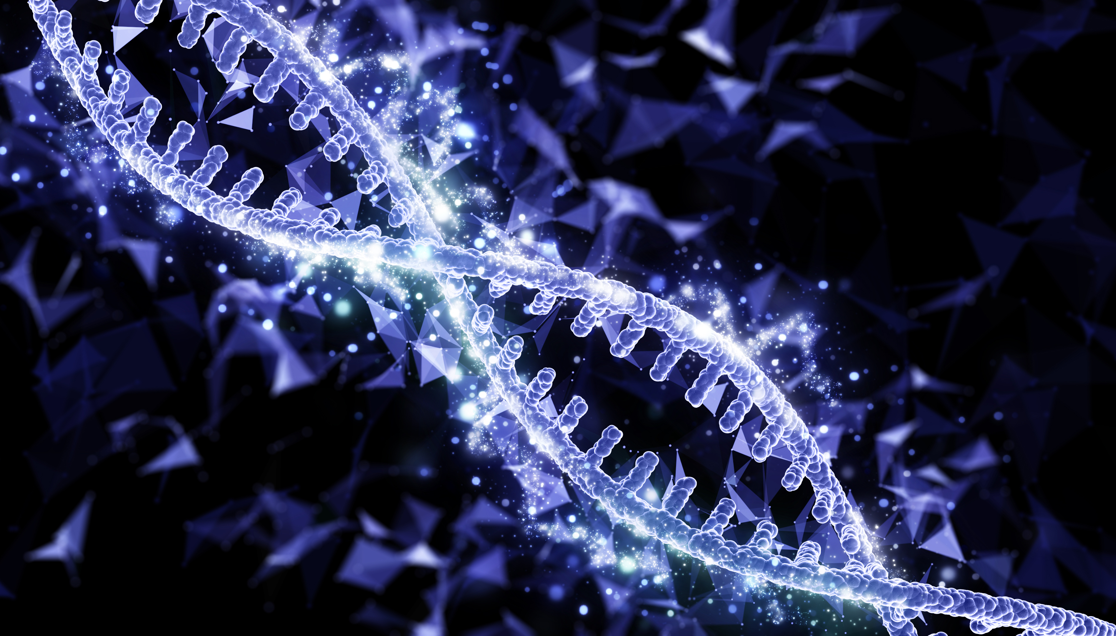 Bioinformatics画像